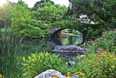 Frederick Law Olmsted: Designing America: TVSS: Iconic