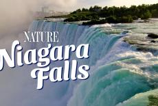 Nature: Niagara Falls: TVSS: Banner-L1