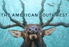 The American Southwest: TVSS: VOD Art