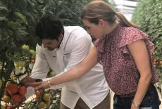 Pati's Mexican Table: A Day in Sinaloa's Countryside: TVSS: Iconic