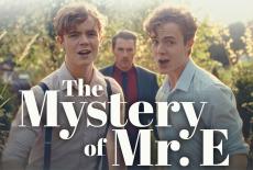 The Mystery of Mr E: TVSS: VOD Art