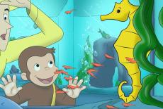 Curious George: Monkey Mechanic; Seahorses and Wee Horses: TVSS: Iconic