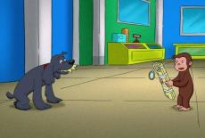 Curious George: Curious George, Spy Monkey; Castle Keep: TVSS: Iconic