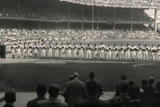 1955, Seven Days of Fall: TVSS: Iconic
