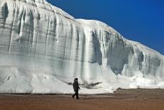 Life Unearthed With Ariel Waldman: Antarctica: Life Under the Ice: TVSS: Iconic