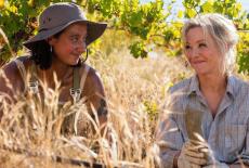 Under the Vines: : TVSS: Iconic