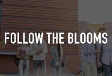 Follow the Blooms: TVSS: Staple