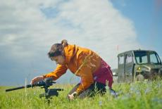 Life Unearthed With Ariel Waldman: Prairies: Life on the Plains: TVSS: Iconic