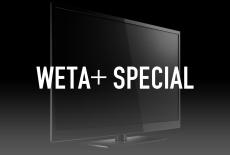 WETA+ Special: TVSS: Staple