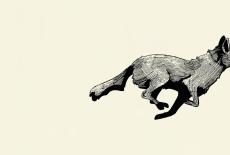 Coyote Crossing: TVSS: Iconic