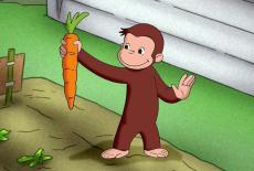 Curious George: Auctioneer George; Sock Monkey Opera: TVSS: Iconic
