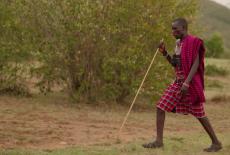 Shared Planet: Open Spaces: TVSS: Iconic