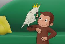 Curious George: Cuckoo Cockatoo; A Bunch of Ballooney: TVSS: Iconic