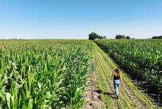 Local, USA: Minnesota's Alt-Meat Revolution: TVSS: Iconic