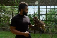 America Outdoors With Baratunde Thurston: Arkansas: Hidden Gems: TVSS: Iconic