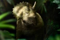 Walking With Dinosaurs: The Orphan: TVSS: Iconic