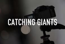 Catching Giants: TVSS: Staple