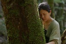 Shared Planet: Forests: TVSS: Iconic