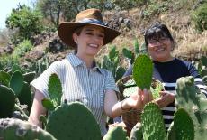 Pati's Mexican Table: The Rural Heart: TVSS: Iconic