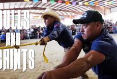 POV: Bulls and Saints: TVSS: Banner-L1