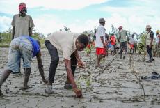 When Disaster Strikes: A Perfect Storm: Mozambique: TVSS: Iconic