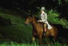 Mansfield Park: : TVSS: Iconic