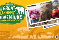 Nature: Sesame Street and the Great Elephant Adventure: TVSS: Banner-L1
