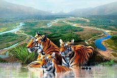 Nature: Tiger Island Part I: TVSS: Iconic