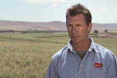 America's Heartland: : TVSS: Iconic
