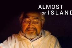 Almost an Island: TVSS: Banner-L1