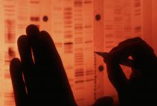 Scientist Labels Genome Sequence 