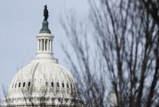 The dome of the U.S. Capitol building is framed behind a tree in Washington