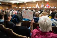Protest during a Senate State and Local Government Committee session against redistricting, in Nashville