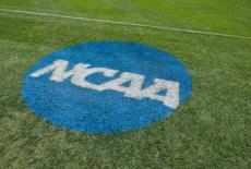 NCAA Softball: NCAA Softball Gainesville Regional-Florida A&M at Florida