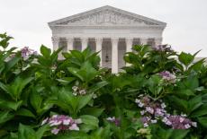 U.S. Supreme Court in Washington, D.C.