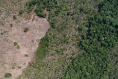 FILE PHOTO: A drone view shows a deforested plot of Brazil's Amazon rainforest in the municipality of Humaita