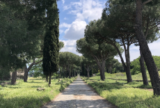 Respighi's The Pines of Rome: a picturesque tour of Rome!