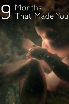 9 Months That Made You: show-poster2x3