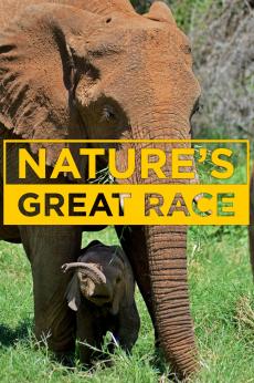 Nature's Great Race: show-poster2x3