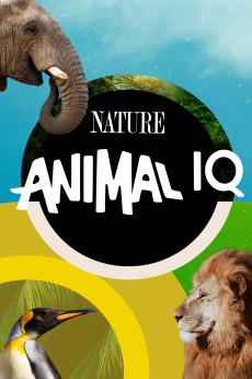 Animal IQ: show-poster2x3