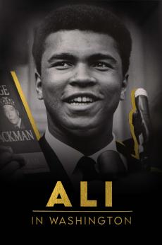 Ali in Washington: show-poster2x3
