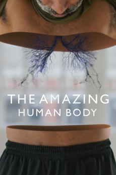 The Amazing Human Body: show-poster2x3