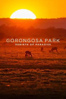 Gorongosa Park: show-poster2x3