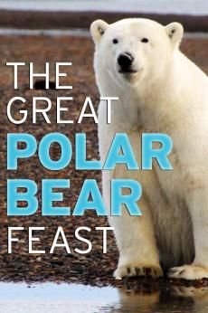 The Great Polar Bear Feast: show-poster2x3