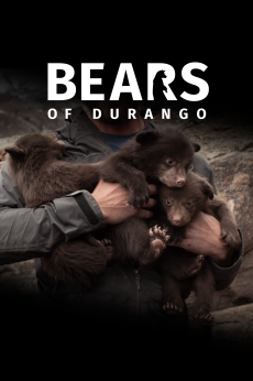 Bears of Durango: show-poster2x3
