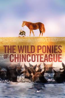 The Wild Ponies of Chincoteague: show-poster2x3
