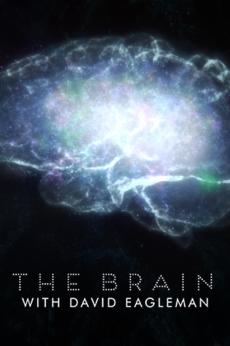The Brain with David Eagleman: show-poster2x3