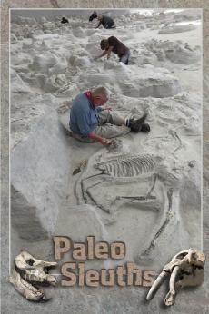 Paleo Sleuths: show-poster2x3