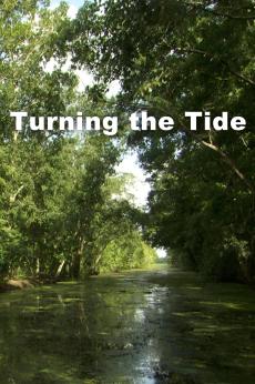 Turning the Tide: show-poster2x3