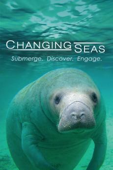 Changing Seas: show-poster2x3